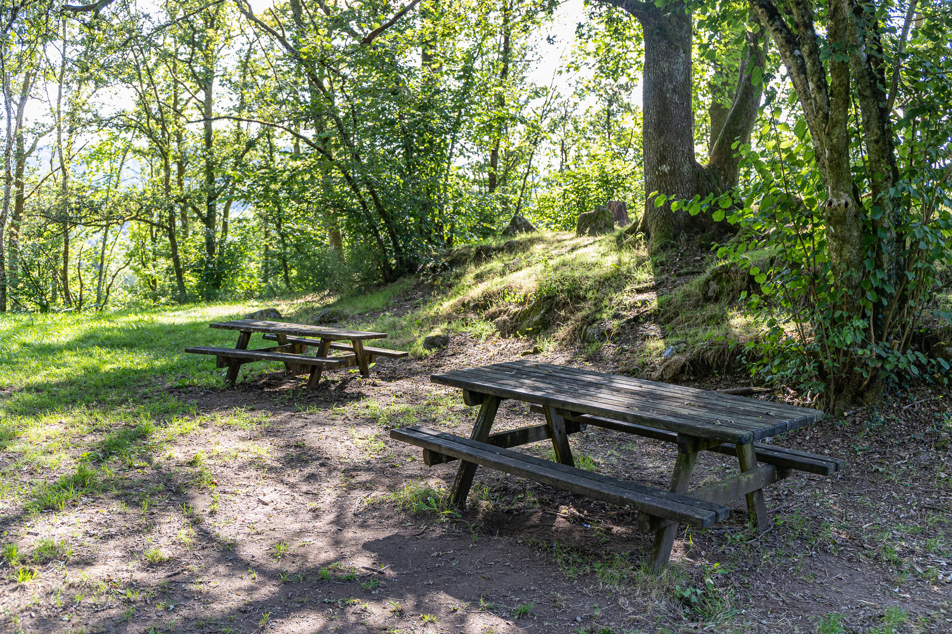 Location de chalet dans les Hautes Vosges